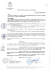 Vista preliminar de documento RA-046-MDY-2019.pdf