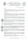 Vista preliminar de documento REA 335.pdf