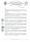 Vista preliminar de documento REA 339.pdf