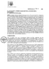 Vista preliminar de documento ORDENANZA