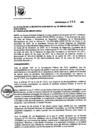 Vista preliminar de documento ORDENANZA