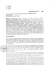 Vista preliminar de documento ORDENANZA