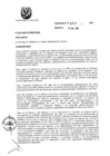 Vista preliminar de documento ORDENANZA