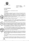 Vista preliminar de documento ORDENANZA