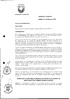 Vista preliminar de documento ORDENANZA
