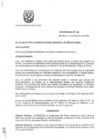 Vista preliminar de documento ORDENANZA