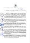 Vista preliminar de documento RES-310-2021-GRDS