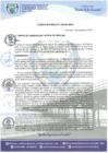 Vista preliminar de documento Acuerdo de Concejo N° 032-2021-MDCA.pdf