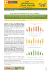 Vista preliminar de documento Boletín de Abastecimiento y Precios Mayoristas GMML y MM Nº 2 -06/12/21