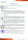 Vista preliminar de documento ORDENANZA Nº 426-2020/MDSJM