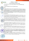 Vista preliminar de documento ORDENANZA Nº 425-2020/MDSJM