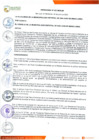 Vista preliminar de documento ORDENANZA Nº 432-2020/MDSJM