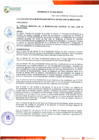 Vista preliminar de documento ORDENANZA Nº 431-2020/MDSJM