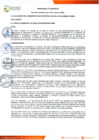 Vista preliminar de documento ORDENANZA Nº 429-2020/MDSJM