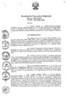 Vista preliminar de documento RER_335_2014.pdf