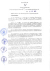 Vista preliminar de documento RER N°744-2021-GR