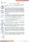 Vista preliminar de documento DECRETO DE ALCALDIA Nº 001-2020/MDSJM