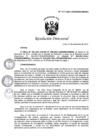 Vista preliminar de documento RD_1177_2021_CENARES.pdf