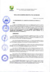 Vista preliminar de documento RDG-0292019.pdf