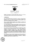 Vista preliminar de documento 04052011_305_2007