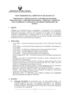 Vista preliminar de documento 2017