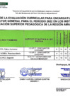 Vista preliminar de documento RESULTADOS DE LA EVALUACION