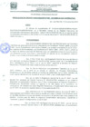Vista preliminar de documento ROS008-2018