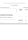 Vista preliminar de documento Anexo