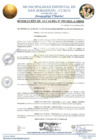 Vista preliminar de documento resolucion alcaldia N 599.pdf