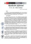 Vista preliminar de documento RJ N 223-2021