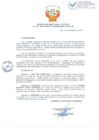 Vista preliminar de documento RDE-216-2021.pdf