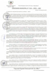 Vista preliminar de documento Ordenanza municipal