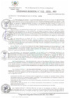 Vista preliminar de documento Ordenanza municipal