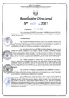 Vista preliminar de documento RD N°0428-2021.pdf