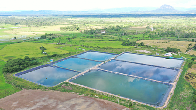 Planta de Tratamiento de Residuos Sólidos 