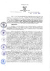 Vista preliminar de documento RGR N° 175-2021-GRI