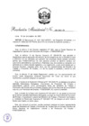 Vista preliminar de documento RM 248-2021-TR