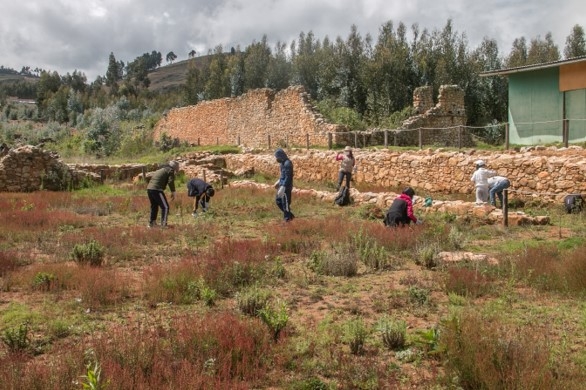 La Libertad: Jóvenes huamachuquinos apoyan en el mantenimiento de Wiraqochapampa