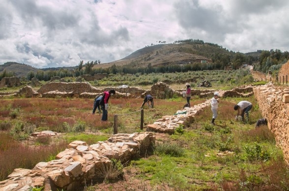 La Libertad: Jóvenes huamachuquinos apoyan en el mantenimiento de Wiraqochapampa
