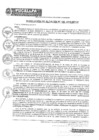 Vista preliminar de documento Resolución de Alcaldía N° 199-2019-MPCP