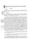 Vista preliminar de documento Resolución de Alcaldía N° 308-2019-MPCP