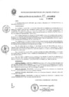 Vista preliminar de documento Resolución de Alcaldía N° 317-2019-MPCP