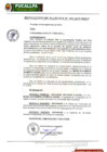 Vista preliminar de documento Resolución de Alcaldía N° 492-2019-MPCP