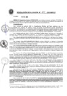Vista preliminar de documento Resolución de Alcaldía N° 509-2019-MPCP