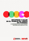 Vista preliminar de documento Seguridad y salud en el trabajo en tiempo de pandemia. La experiencia de la Autoridad Nacional del Servicio Civil.