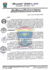 Vista preliminar de documento G MUNICIPAL N 445.pdf