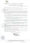 Vista preliminar de documento Acuerdo de Concejo