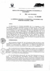 Vista preliminar de documento RESOLUCION GERENCIAL REGIONAL DE DESARROLLO ECONOMICO 64.PDF