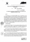 Vista preliminar de documento RESOLUCION GERENCIAL REGIONAL DE DESARROLLO ECONOMICO  63.PDF