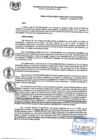 Vista preliminar de documento RG_333-2020.pdf
